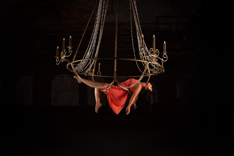 Mermaid Acrobat Aerial Silks